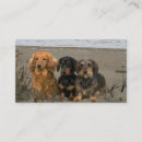 Search for dachshund business cards Puppy