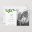 Search for olive branch save the dates Simple