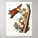 Search for gliders art Animals