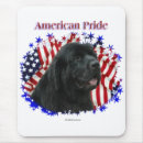 Search for newfies electronics Landseer