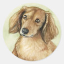 Search for hair of the dog stickers Dachshund