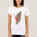 Search for 1800s tshirts Vintage