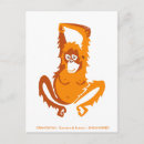 Search for species postcards Animal lover