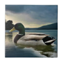Search for duck tiles Mallard