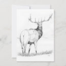 Search for elk invitations Nature