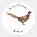 Search for pheasant stickers Ring necked pheasant