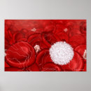 Search for magnification posters Red