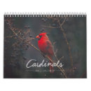 Search for cardinal calendars Red