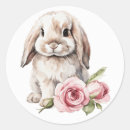Search for rabbit ears stickers Pink