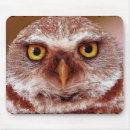 Search for owl art mousepads Bird