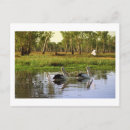 Search for territory postcards Nature