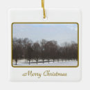 Search for rows rows christmas tree decorations Photography