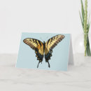Search for insects photo cards Photography