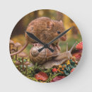 Search for mouse clocks Snail