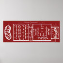 Search for mitochondria posters Biology