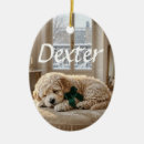 Search for best dog dad christmas tree decorations Dogs