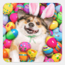 Search for easter egg hunt stickers Funny