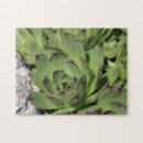 Search for succulent puzzles Floral