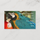 Search for macaws business cards Birds