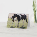 Search for filly cards Colt