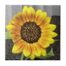 Search for sunflower kitchen tiles Home