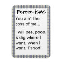 Search for ferrets magnets Animal