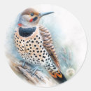 Search for yellowhammer stickers Woodpecker