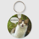 Search for whatever key rings Humour