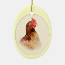 Search for chooks Hens