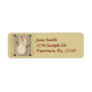 Search for primitive return address labels Snowman