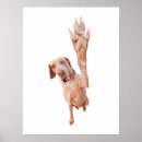 Search for weimaraner art Funny