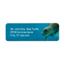 Search for tortoise return address labels Ocean