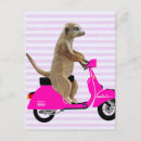 Search for mopeds postcards Flowers