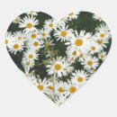 Search for meadows stickers Outdoors