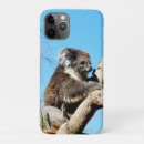 Search for cuddly phone cases Koala