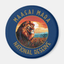 Search for reserved magnets Africa