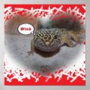 Search for wink Animal