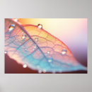 Search for drop leafs posters Nature