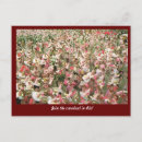 Search for vintage brazil postcards Carnival