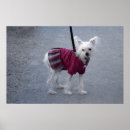 Search for back to school posters Elegant