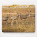 Search for one animal mousepads Usa