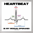 Search for sinus posters Ecg