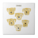Search for labrador tiles Cute