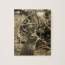 Search for deer hunting puzzles Buck