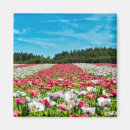 Search for fields magnets Garden