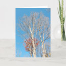 Search for bare tree cards Trees