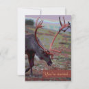 Search for elk invitations Wilderness