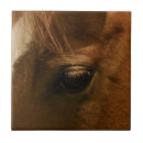 Search for western tiles Equestrian