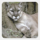 Search for puma stickers Endangered