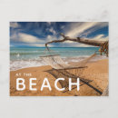 Search for hammock Sea